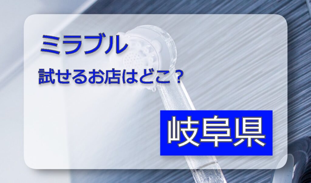ミラブル体験 岐阜