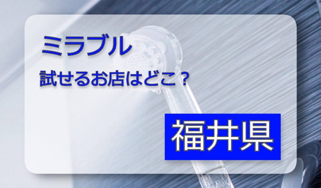 ミラブル体験 福井