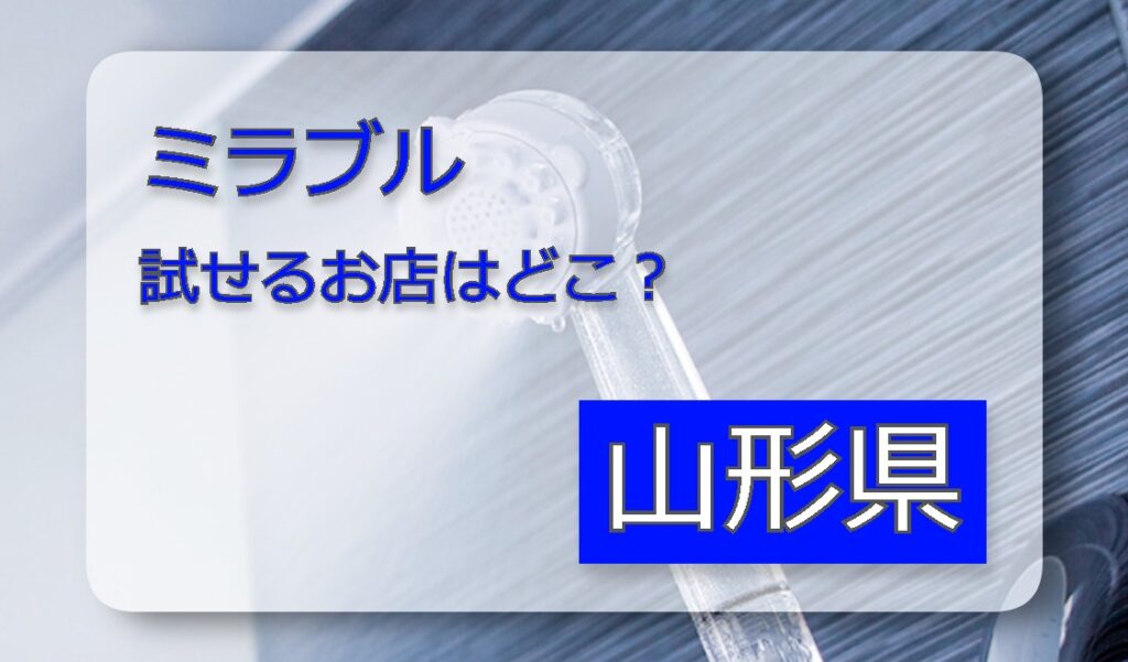ミラブル体験 山形